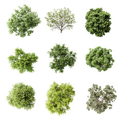A collection of tree images with varying sizes and shapes