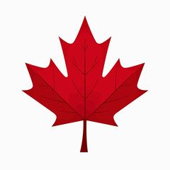 Stylized red maple leaf on white background