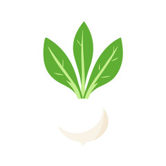 Simple flat 2D illustration of marshmallow root isolated on a white background, ai, flat 2d design, ideal for animation, UI/UX design, mobile apps, web design, digital illustrations