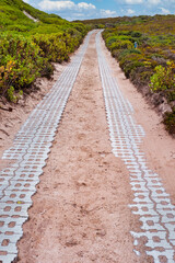Scenic Coastal Path at De Hoop Nature Reserve, South Africa
