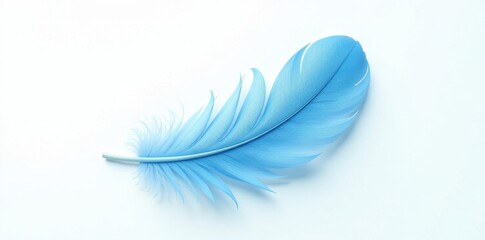 Naklejka premium Single, soft blue feather floats on pure white background , white background, light, shot