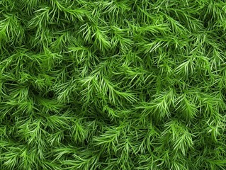 Close-up of vibrant green moss