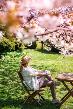 Woman sitting in spring garden under blooming cherry tree and enjoying sunny day. Relaxation outdoors