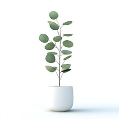 Single Eucalyptus Sprig in White Pot on White Background