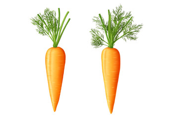 Two realistic yellow carrots with green tops on a transparent background