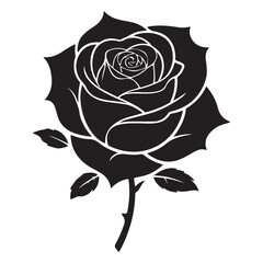 Hand drawn vector illustration of a rose. vector illustration eps 10