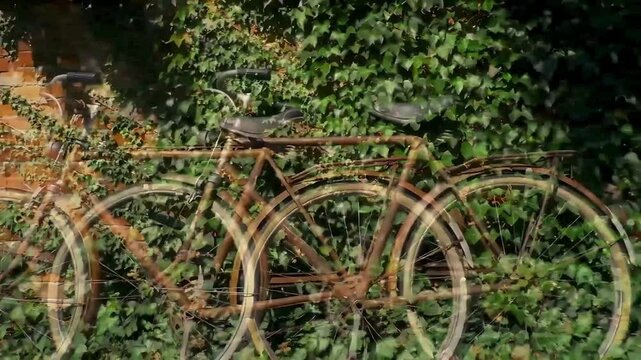 Vintage Bicycle Leaning Against Ivy-Covered Weathered Wall with Nostalgic Atmosphere

