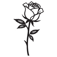 vector illustration of a rose with leaf and white background.