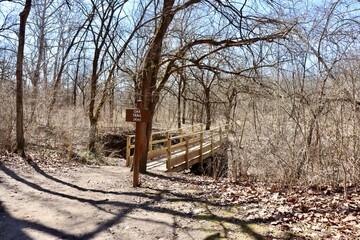 The old wood bridge in the forest on a sunny winter day.