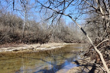 The creek in the forest on a sunny day.