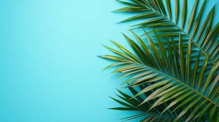 Obraz premium Green Palm Leaf on Blue Background