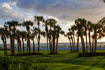 Sunsets Over Beaches, Palm Trees and Oceans
