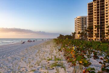 Sunsets Over Beaches, Palm Trees and Oceans