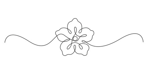 Continuous one line drawing of Plumeria flower. Frangipani blossom with petals for floral tattoo in simple linear style. Plant pattern for wedding concept vector illustration