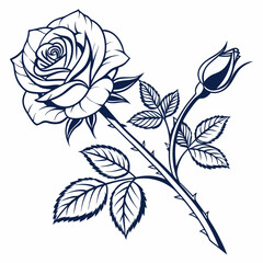 black and white roses