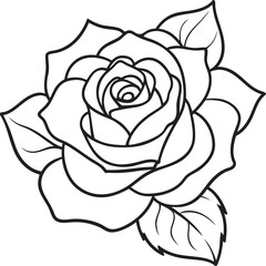 vector illustration of rose