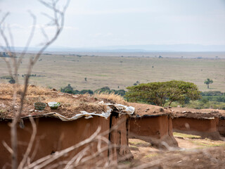 Embark on a safari in Kenya. From the bustling city of Nairobi to the pristine jungles of Tsavo and...