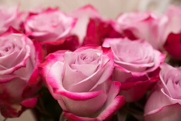 large bouquet of fresh red roses in a vase