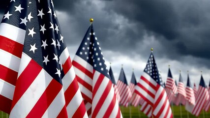 Beneath a strikingly dramatic sky, flags flutter gently in the breeze at a national memorial dedicated to honoring our fallen heroes