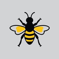 Bee Illustration