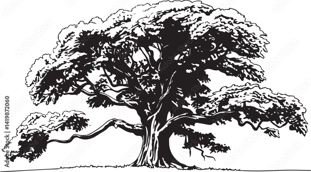 Poster realistic line drawing of a large oak tree with wide spreading branches intricate bark texture and l