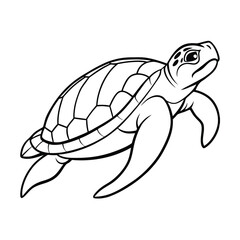 Sea Turtle Illustration Black And White Graphic Outline Vector Design Aquatic Animal