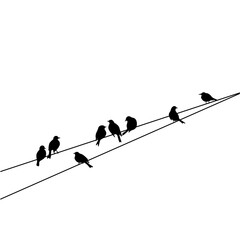 Flock of Birds on Wire. Birds on Power Line Silhouette. Sparrow and Bullfinch. Silhouette Vector Illustration 