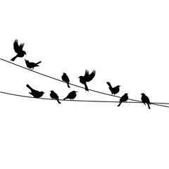 Flock of Birds on Wire. Birds on Power Line Silhouette. Sparrow and Bullfinch. Silhouette Vector Illustration 