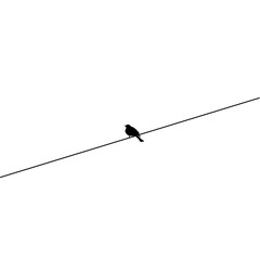 Flock of Birds on Wire. Birds on Power Line Silhouette. Sparrow and Bullfinch. Silhouette Vector Illustration 