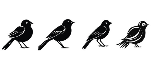 silhouette of a birds 