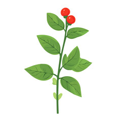 A Very Simple flat 2D icon ashwagandha isolated on a white background, vector, flat design, vector, animation design, simple flat 2D icon, minimalist and modern design, 2D design