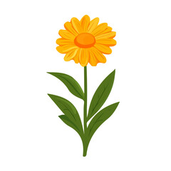 A Very Simple flat 2D icon calendula isolated on a white background, vector, flat design, vector, animation design, simple flat 2D icon, minimalist and modern design, 2D design