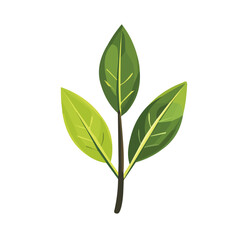 A Very Simple flat 2D icon bay leaf isolated on a white background, vector, flat design, vector, animation design, simple flat 2D icon, minimalist and modern design, 2D design