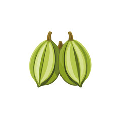 A Very Simple flat 2D icon cardamom isolated on a white background, vector, flat design, vector, animation design, simple flat 2D icon, minimalist and modern design, 2D design