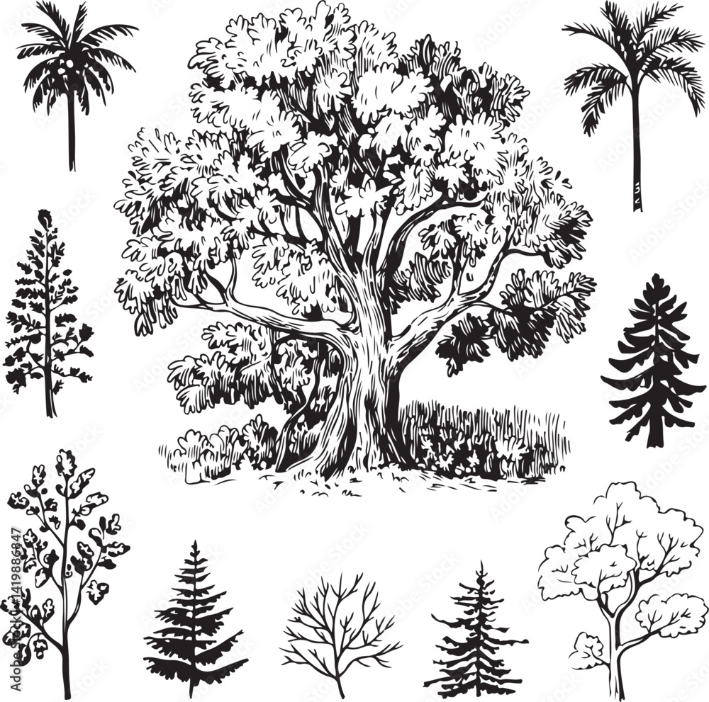 Aufkleber tree sketches hand-drawn illustrations various tree species deciduous and coniferous trees palm tree