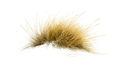 Tumbleweed Rolling Across Desert Landscape Isolated