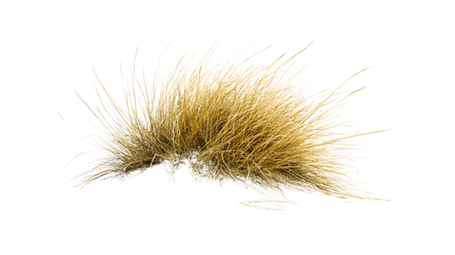 Tumbleweed Rolling Across Desert Landscape Isolated