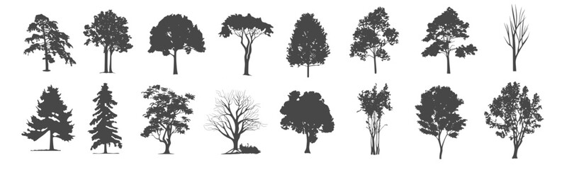 Set of trees simple and realistic black fill branch and twig plant forest SVG. transparent background illustration.