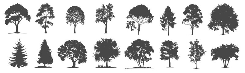Set of trees simple and realistic black fill branch and twig plant forest SVG. transparent background illustration.