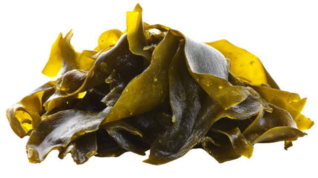 Vibrant Kombori Kelp Kola Kick Salted on White Background