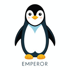 penguin on a white background