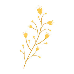 Simple flat vector illustrations of various wildflowers and botanical stems