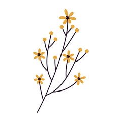 Simple flat vector illustrations of various wildflowers and botanical stems