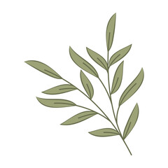 Minimal flat illustrations of leaves and simple flowers on white background