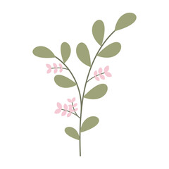 Minimal flat illustrations of leaves and simple flowers on white background