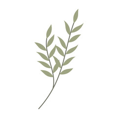 Minimal flat illustrations of leaves and simple flowers on white background