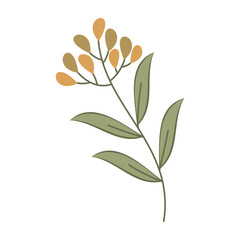 Collection of flat botanical illustrations featuring leaves and small flowers