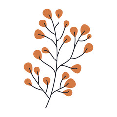 Set of flat botanical elements with colorful flowers, berries, and leaves