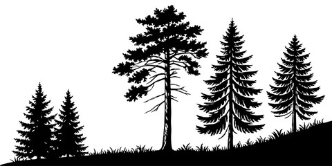 Fir trees silhouette line art illustration