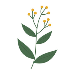 Set of flat botanical elements with colorful flowers, berries, and leaves